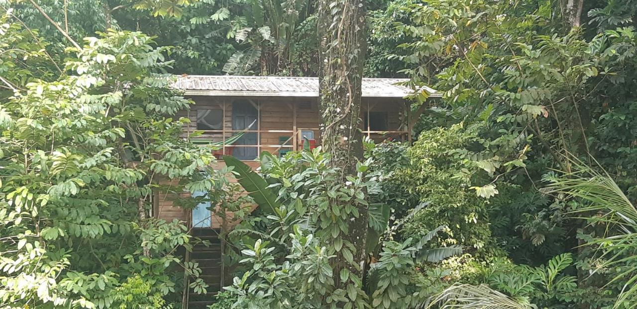باستيمينتوس Carmen'S Place المظهر الخارجي الصورة